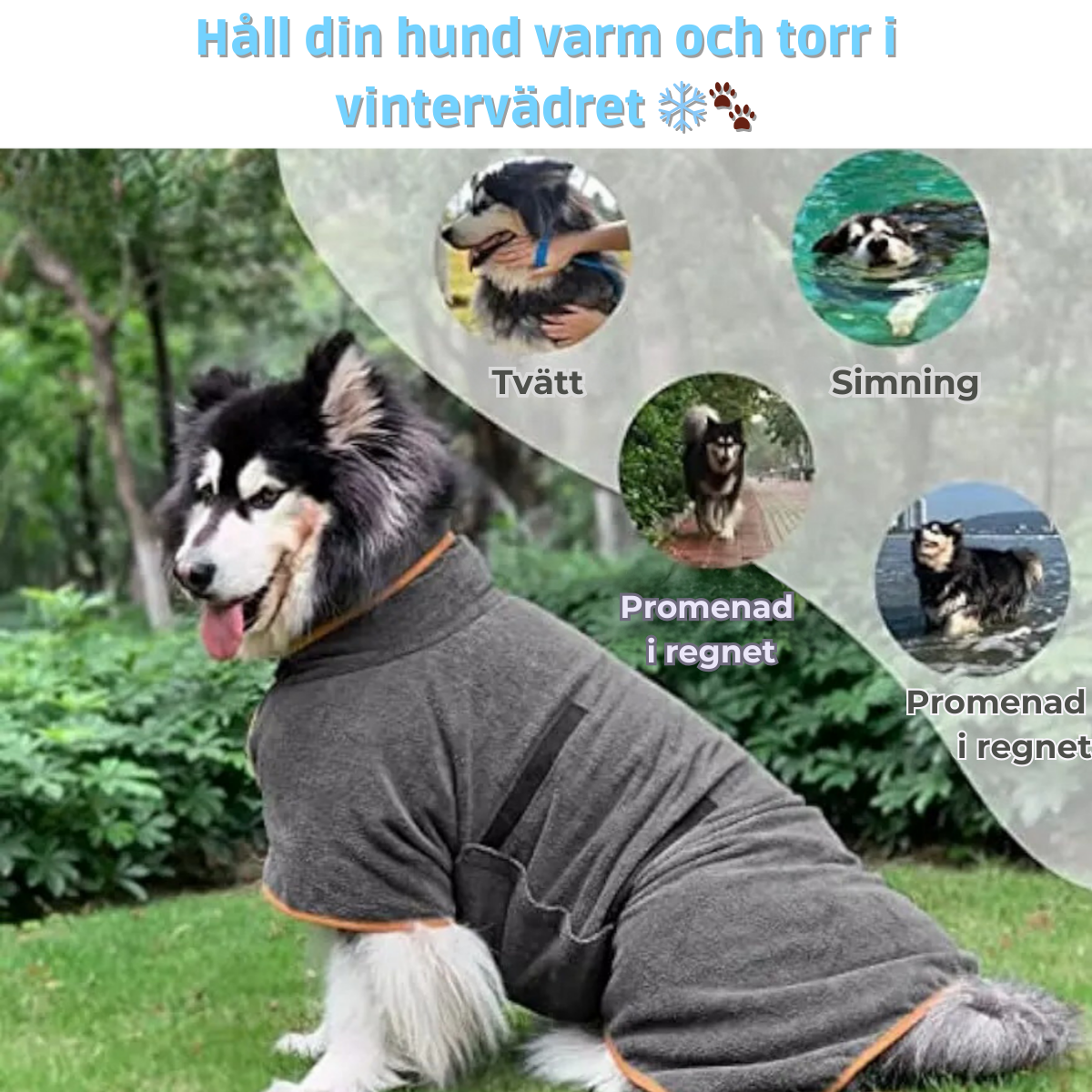 Fingeravtrycksrengoring-2024-11-26T225234.464.png